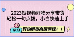 2023短视频好物分享带货，好物带货高级课程，轻松一句点拨，小白快速上手倾城领域-倾城领域