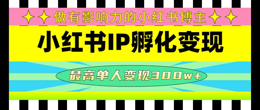 某收费培训-小红书IP孵化变现：做有影响力的小红书博主倾城领域-倾城领域