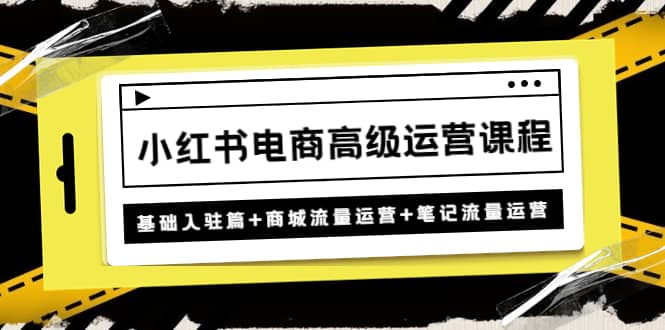 小红书电商高级运营课程：基础入驻篇+商城流量运营+笔记流量运营倾城领域-倾城领域