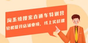 淘系统搜索直通车特训营-第三期：轻松提升店铺业绩，线上实战课倾城领域-倾城领域