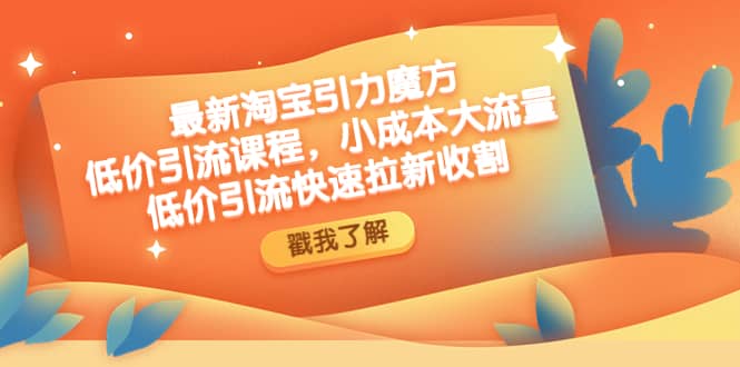 最新淘宝引力魔方低价引流实操：小成本大流量倾城领域-倾城领域