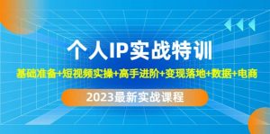 2023个人IP实战特训：基础准备+短视频实操+高手进阶+变现落地+数据+电商倾城领域-倾城领域