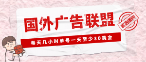外面收费1980最新国外LEAD广告联盟搬砖项目，单号一天至少30美元(详细教程)倾城领域-倾城领域