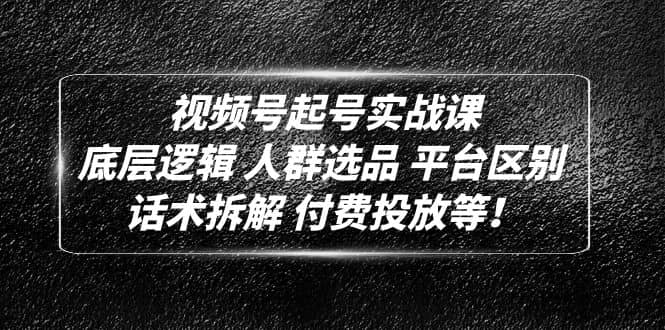 视频号起号实战课：底层逻辑 人群选品 平台区别 话术拆解 付费投放等倾城领域-倾城领域