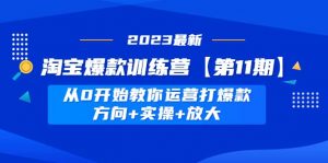 淘宝爆款训练营【第11期】 从0开始教你运营打爆款，方向+实操+放大倾城领域-倾城领域