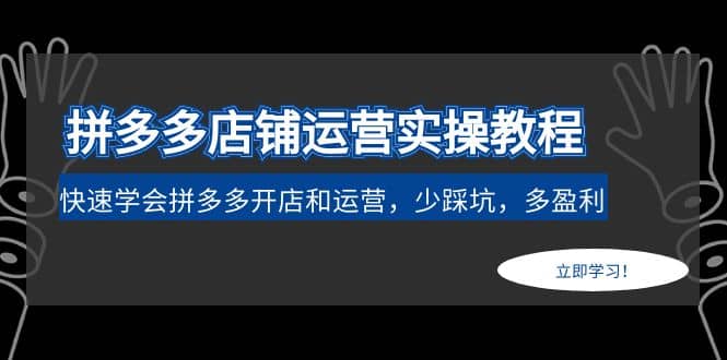 拼多多店铺运营实操教程：快速学会拼多多开店和运营，少踩坑，多盈利倾城领域-倾城领域