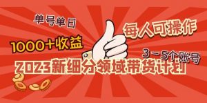 2023新细分领域带货计划：单号单日1000+收益不难，每人可操作3-5个账号倾城领域-倾城领域