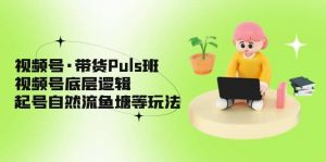 视频号·带货Puls班，视频号底层逻辑，起号自然流鱼塘等玩法倾城领域-倾城领域