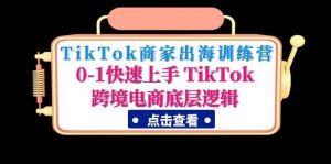 TikTok商家出海训练营：0-1快速上手 TikTok跨境电商底层逻辑(无水印)倾城领域-倾城领域