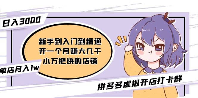 拼多多虚拟开店打卡群：新手到入门到精通倾城领域-倾城领域