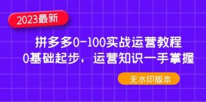 2023拼多多0-100实战运营教程，0基础起步，运营知识一手掌握（无水印）倾城领域-倾城领域