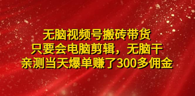 无脑视频号搬砖带货，只要会电脑剪辑，无脑干倾城领域-倾城领域