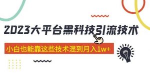价值4899的2023大平台黑科技引流技术 29节课倾城领域-倾城领域