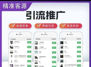微信简单易上手引流方法，无门槛 小白即可操作 日引流300+【详细玩法教程】倾城领域-倾城领域