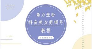 抖音快手暴力涨粉美女混剪视频教程 百分百过原创图片教程 附带违规申诉方法倾城领域-倾城领域