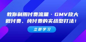 教你利用付费流量·GMV放大，微付费、纯付费的实战型打法倾城领域-倾城领域