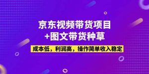 京东视频带货项目+图文带货种草，成本低，利润高，操作简单收入稳定倾城领域-倾城领域