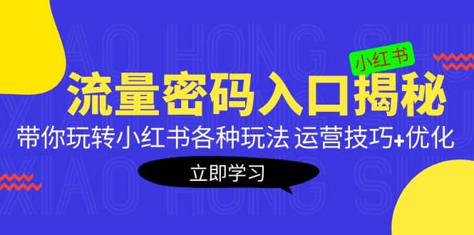 小红书流量密码入口揭秘：带你玩转小红书各种玩法 运营技巧+优化倾城领域-倾城领域