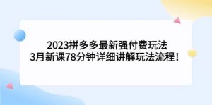 2023拼多多最新强付费玩法，3月新课78分钟详细讲解玩法流程倾城领域-倾城领域