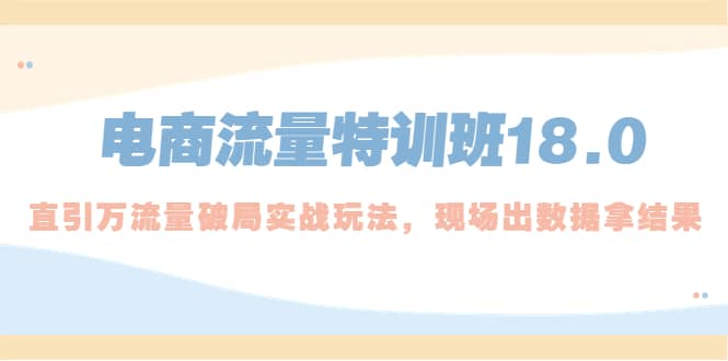 电商流量特训班18.0，直引万流量破局实操玩法，现场出数据拿结果倾城领域-倾城领域