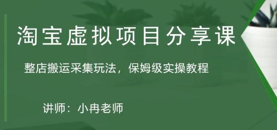 淘宝虚拟整店搬运采集玩法分享课：整店搬运采集玩法，保姆级实操教程倾城领域-倾城领域