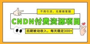 CNDN付费资源项目，不用引流，无需做客服，后期被动收入倾城领域-倾城领域
