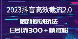 日引300＋创业粉，独家抖音高效截流2.0玩法（价值1280）倾城领域-倾城领域