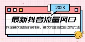 2023最新抖音流量风口，同城餐饮店怎样做抖音，餐饮同城直播店引流方法倾城领域-倾城领域