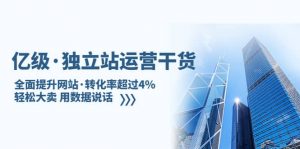 独立站运营干货：全面提升网站·转化率超过4%，轻松大卖 用数据说话倾城领域-倾城领域