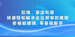 引爆·客流实操：快速轻松解决企业获客的难题，老板必修课，零基础新手倾城领域-倾城领域
