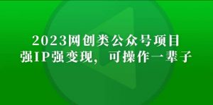 2023网创类公众号项目，强IP强变现，可操作一辈子倾城领域-倾城领域