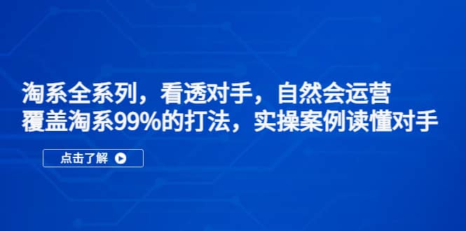 淘系全系列，看透对手，自然会运营，覆盖淘系99%·打法，实操案例读懂对手倾城领域-倾城领域