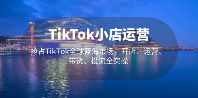 TikTok小店运营 抢占TikTok全球蓝海市场，开店、运营、带货、投流全实操倾城领域-倾城领域