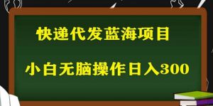 2023最新蓝海快递代发项目，小白零成本照抄倾城领域-倾城领域