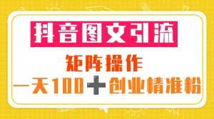 抖音图文引流 矩阵操作 一天100+创业精准粉（5节视频课+素材模板）倾城领域-倾城领域