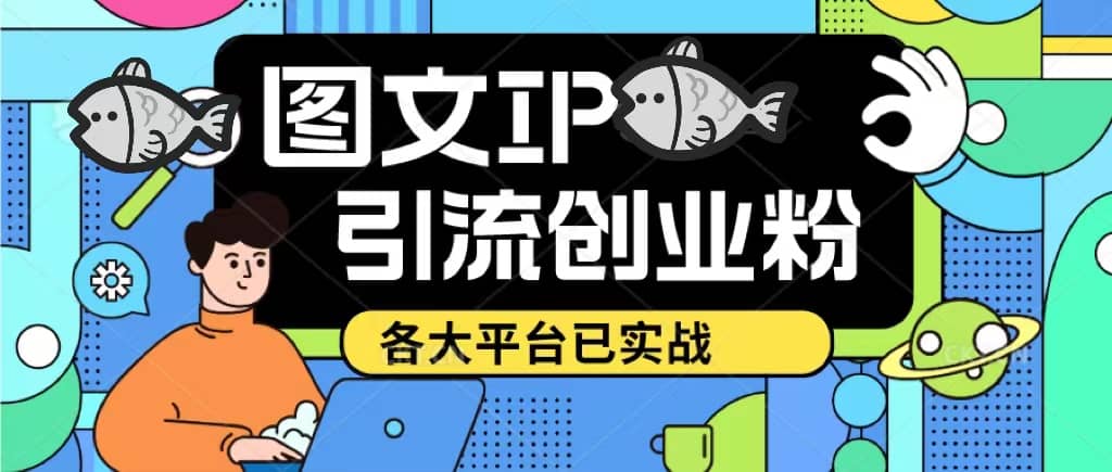 价值1688的ks dy 小红书图文ip引流实操课，日引50-100！各大平台已经实战倾城领域-倾城领域