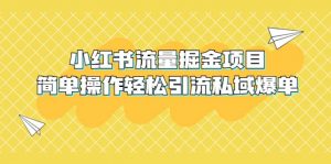 外面收费398小红书流量掘金项目，简单操作轻松引流私域爆单倾城领域-倾城领域