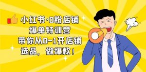 小红书·0粉店铺爆单特训营 带你从0-1开店铺，选品，做爆款（课程+工具包）倾城领域-倾城领域