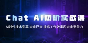 Chat AI初阶实战课，AI时代技术变革 未来已来 提高工作效率和未来竞争力倾城领域-倾城领域