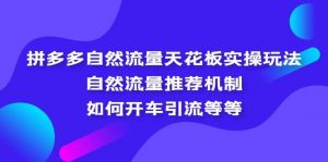 拼多多自然流量天花板实操玩法：自然流量推荐机制，如何开车引流等等倾城领域-倾城领域