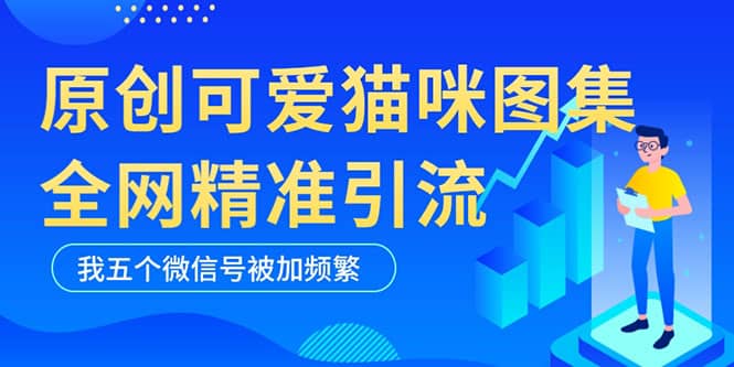 黑科技纯原创可爱猫咪图片，全网精准引流，实操5个VX号被加频繁倾城领域-倾城领域