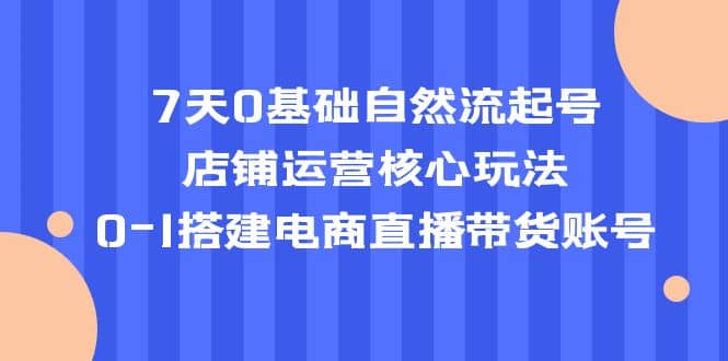 7天0基础自然流起号，店铺运营核心玩法，0-1搭建电商直播带货账号倾城领域-倾城领域