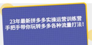 23年最新拼多多实操运营训练营：手把手带你玩转多多各种流量打法！倾城领域-倾城领域