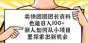 卖快团团团长资料也能日入100+ 新人如何从小项目里探索出新机会倾城领域-倾城领域