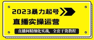 2023暴力起号+直播实操运营，全套直播间精细化实战，全套干货教程倾城领域-倾城领域