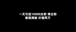 一天引流10000女粉，博主粉教程揭秘（价值两万）倾城领域-倾城领域