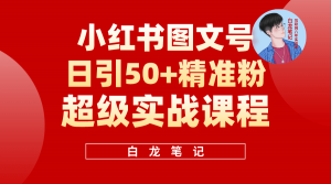 小红书图文号日引50+精准流量，超级实战的小红书引流课，非常适合新手倾城领域-倾城领域