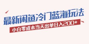 2023最新闲鱼冷门蓝海玩法，小白零成本当天出单日入200+倾城领域-倾城领域