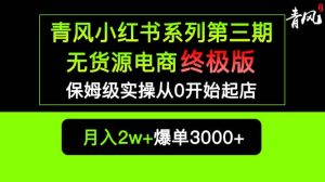 小红书无货源电商爆单终极版【视频教程+实战手册】保姆级实操从0起店爆单倾城领域-倾城领域