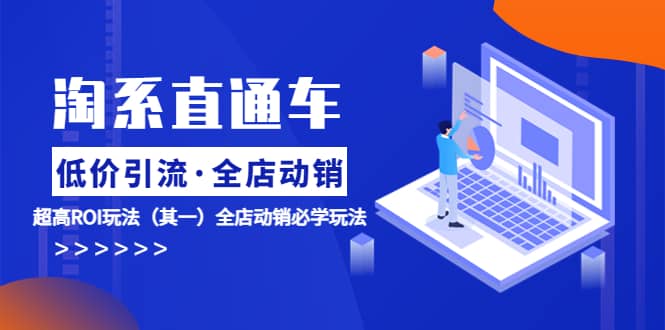 淘系直通车《低价·引流 全店·动销》超高ROI玩法（其一）全店动销必学玩法倾城领域-倾城领域
